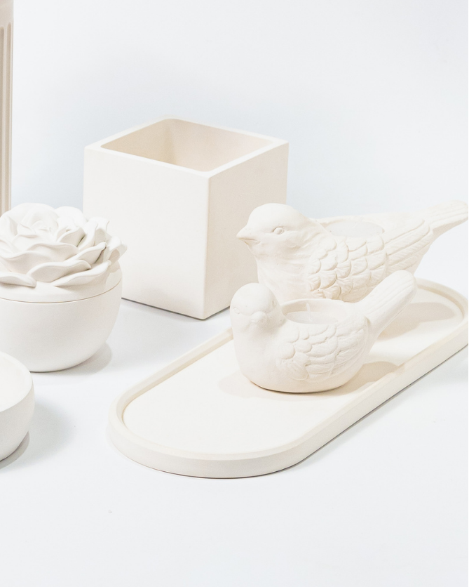 SET PÁJAROS